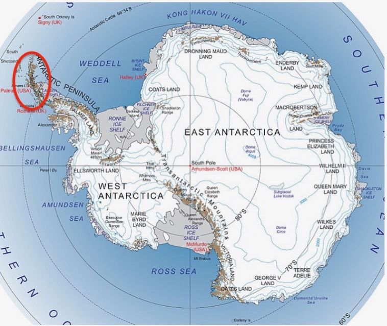 Antartic Pennisula