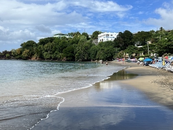 IMG 0795