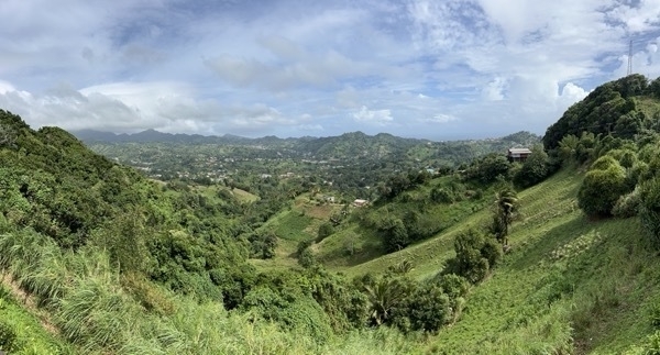IMG 0782