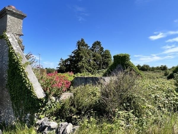 IMG 4839