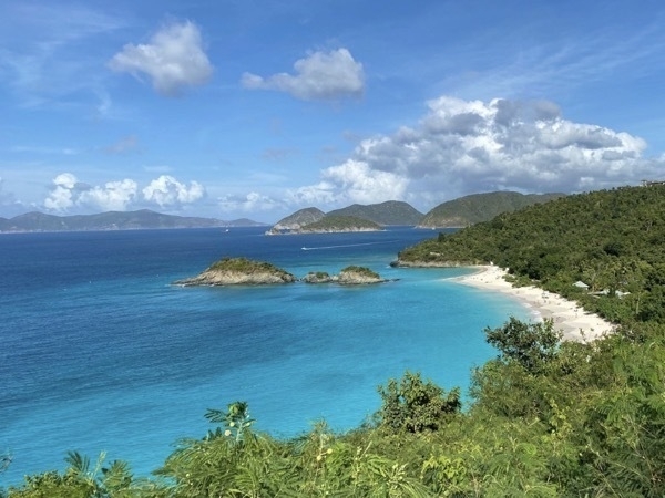 IMG 0594
