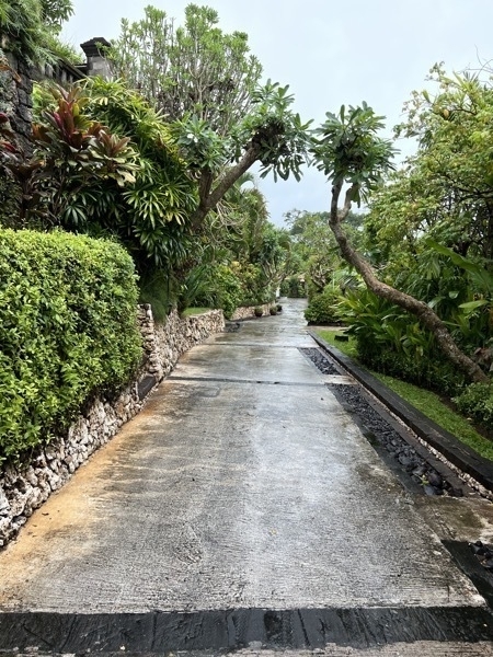 IMG 2565