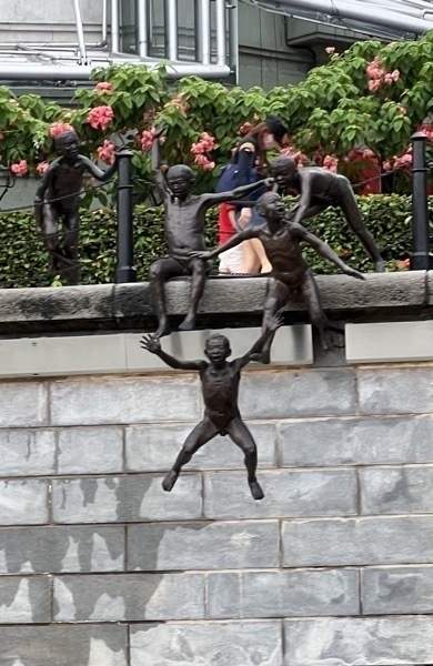 IMG 1617